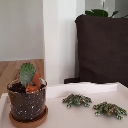 Apartamento Nascente *