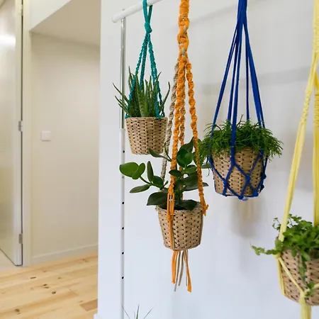 Apartamento Nascente *